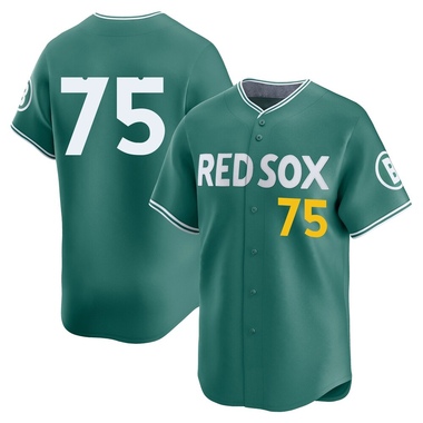 Green Wyatt Olds Youth Boston Red Sox 2025 City Connect Jersey - Limited