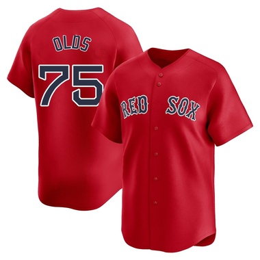 Red Wyatt Olds Youth Boston Red Sox Alternate Jersey - Limited